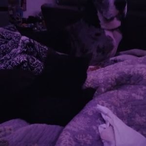 Meet your Posher, Karan m